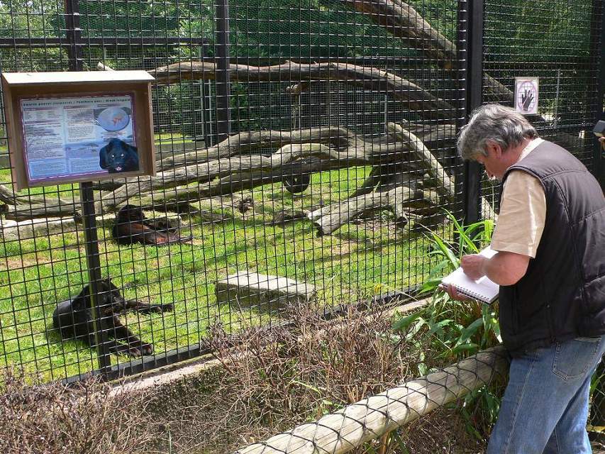 A day at the Olmense Zoo